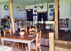 Jetty Shop